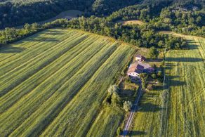 Farmhouse with land for sale in Tuscany, Terranuova Bracciolini