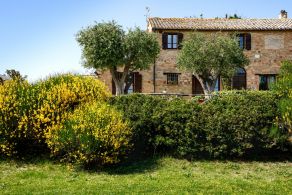 Typical farmhouse for sale in Le Marche, Jesi