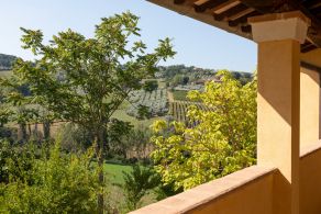 Country villa with vineyard and olive grove for sale in Umbria, Montefalco in 