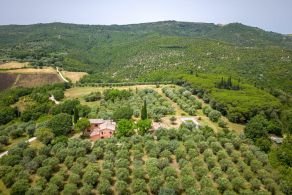 Farmhouse to renovate, with land and olive trees, for sale in Umbria, near Perugia