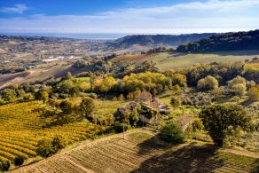 Village with farmhouses to renovate, for sale between Grottammare and Ripatransone, Marche